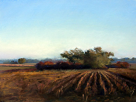 Fallen Corn