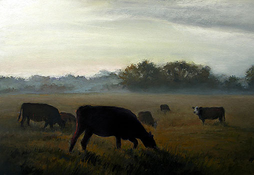 Misty Morning