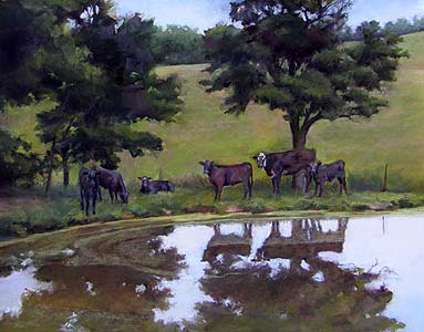 Arkansas Afternoon