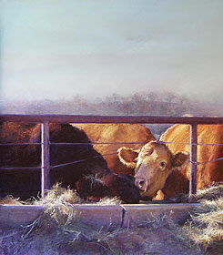 Eudora Cows
