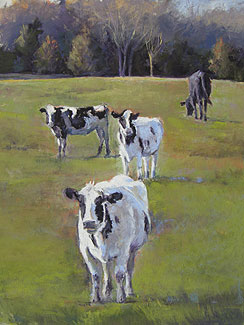 Field of Cows