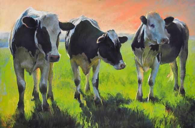 Holsteins