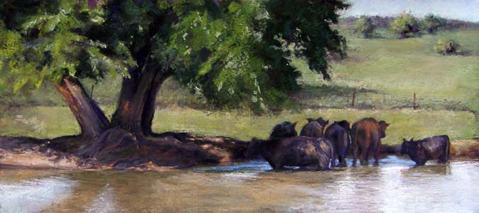 In the Shade