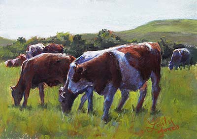 Cows of the Flint Hills #2