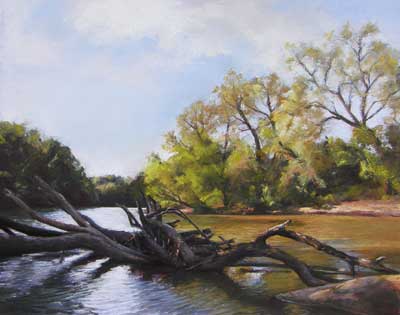 Fallen Trees in Cottonwood