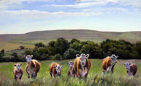 Over the Hills